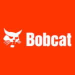 Bobcat